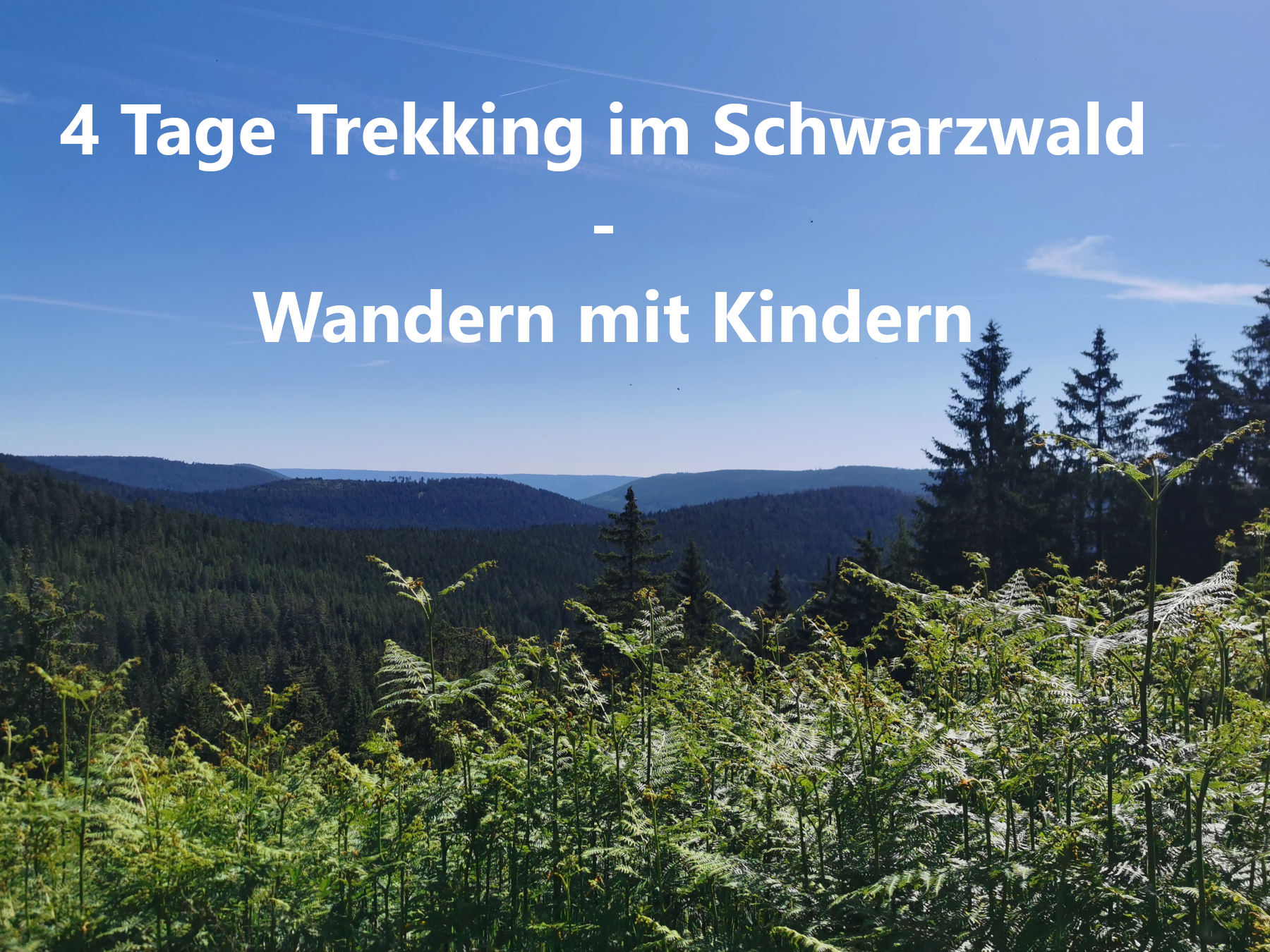 4 Tage Trekking Schwarzwald- Wandern mit Kindern