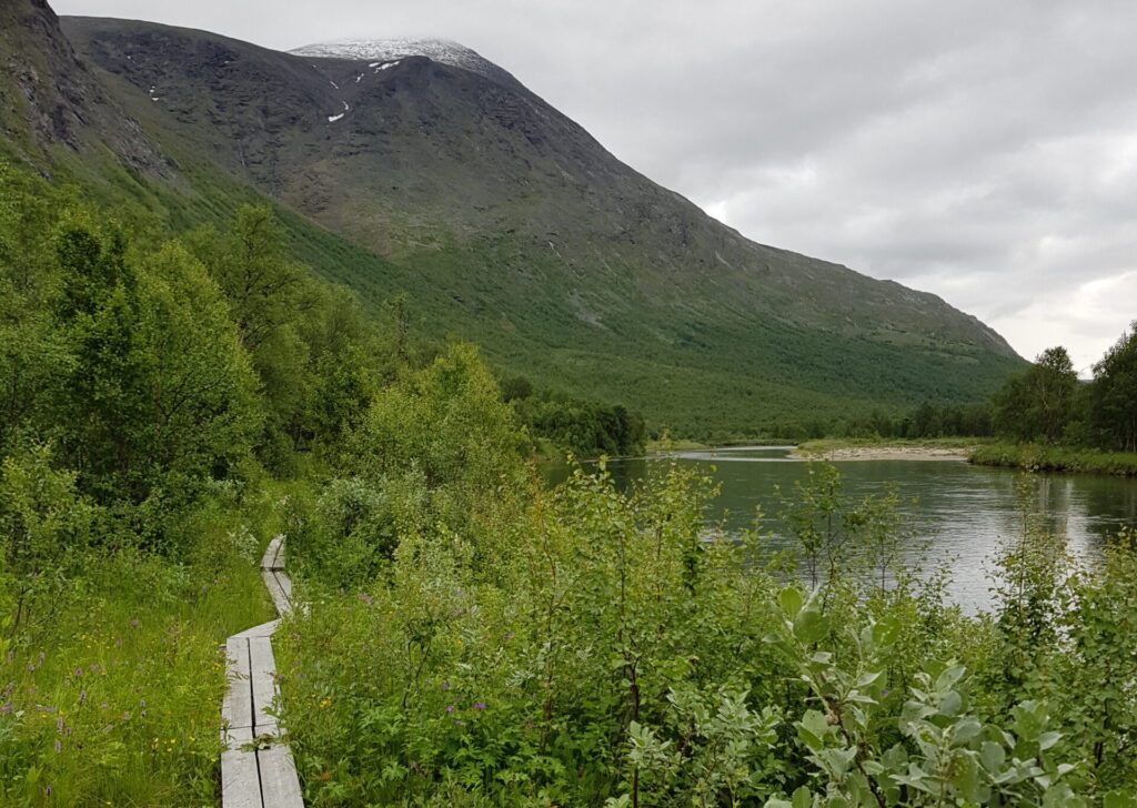 Bohlenweg entlang des Tarrajakka