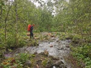 Fluss im Wald