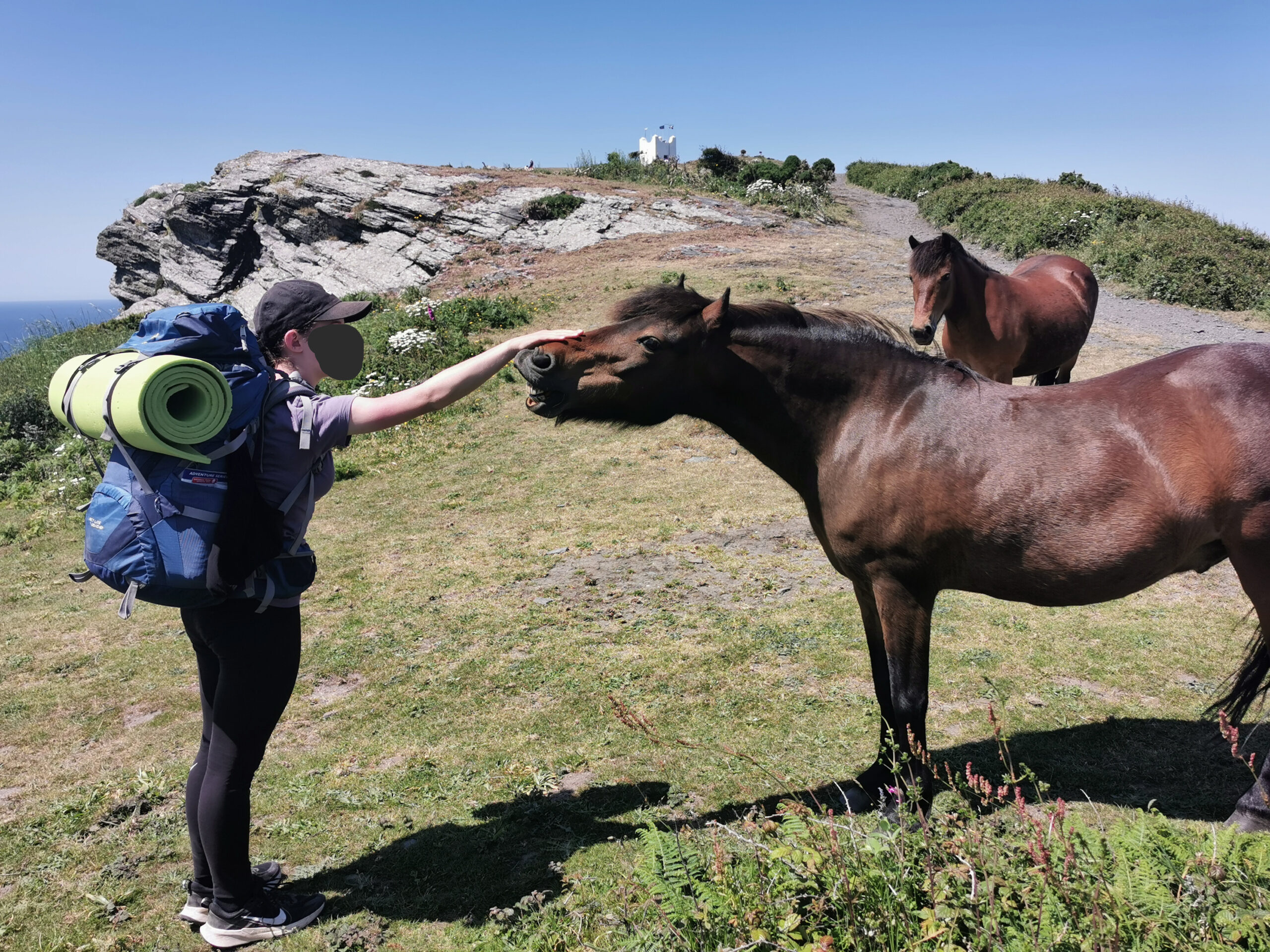 Begegnung mit Ponys in Willapark