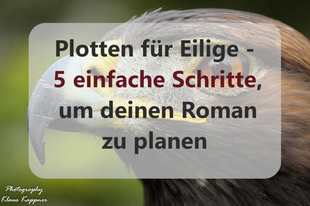 Plotten für Eilige - 5 einfache Schritte, um deinen Roman zu planen ...