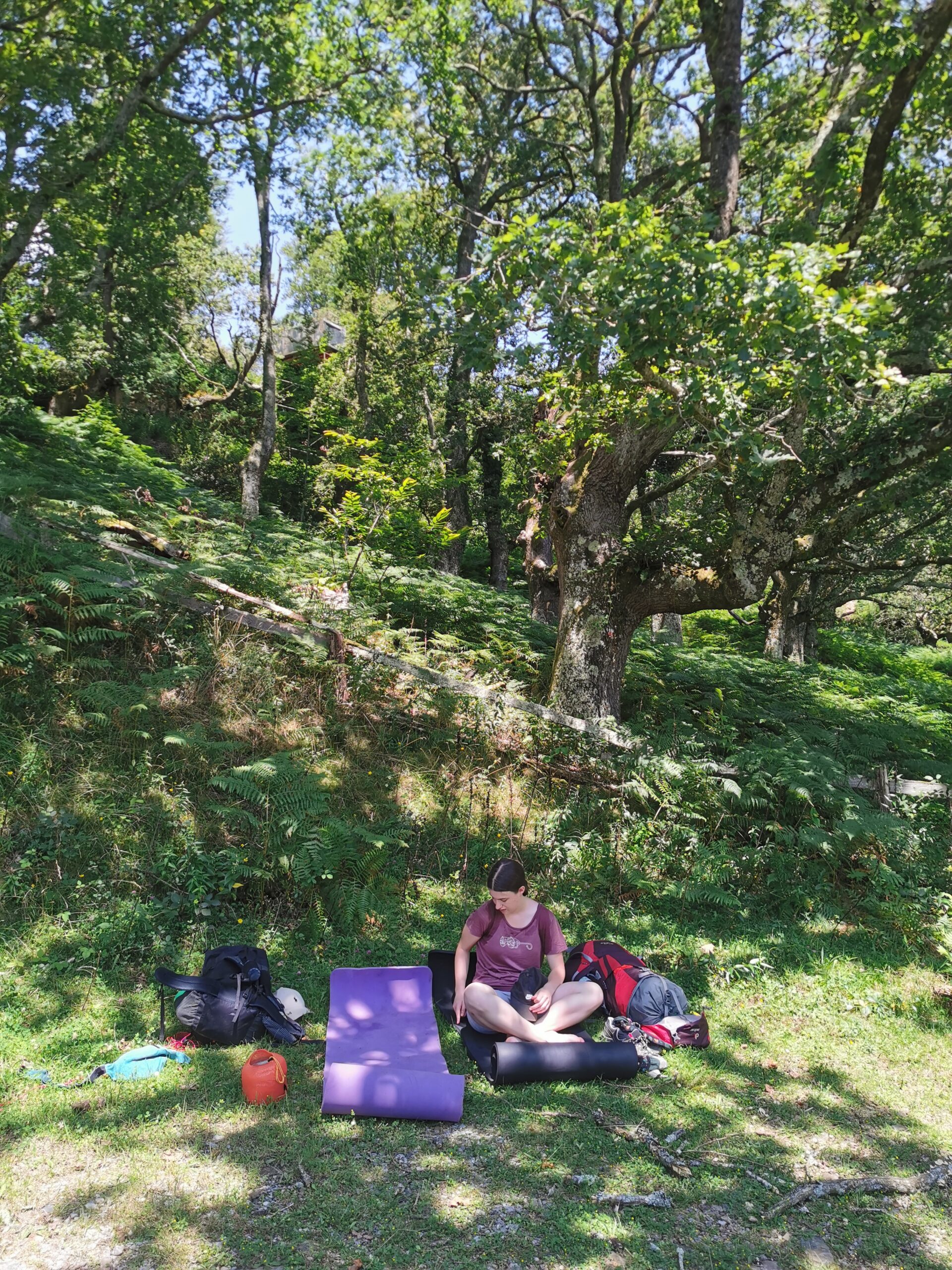 Mittagessen im spärlichen Schatten