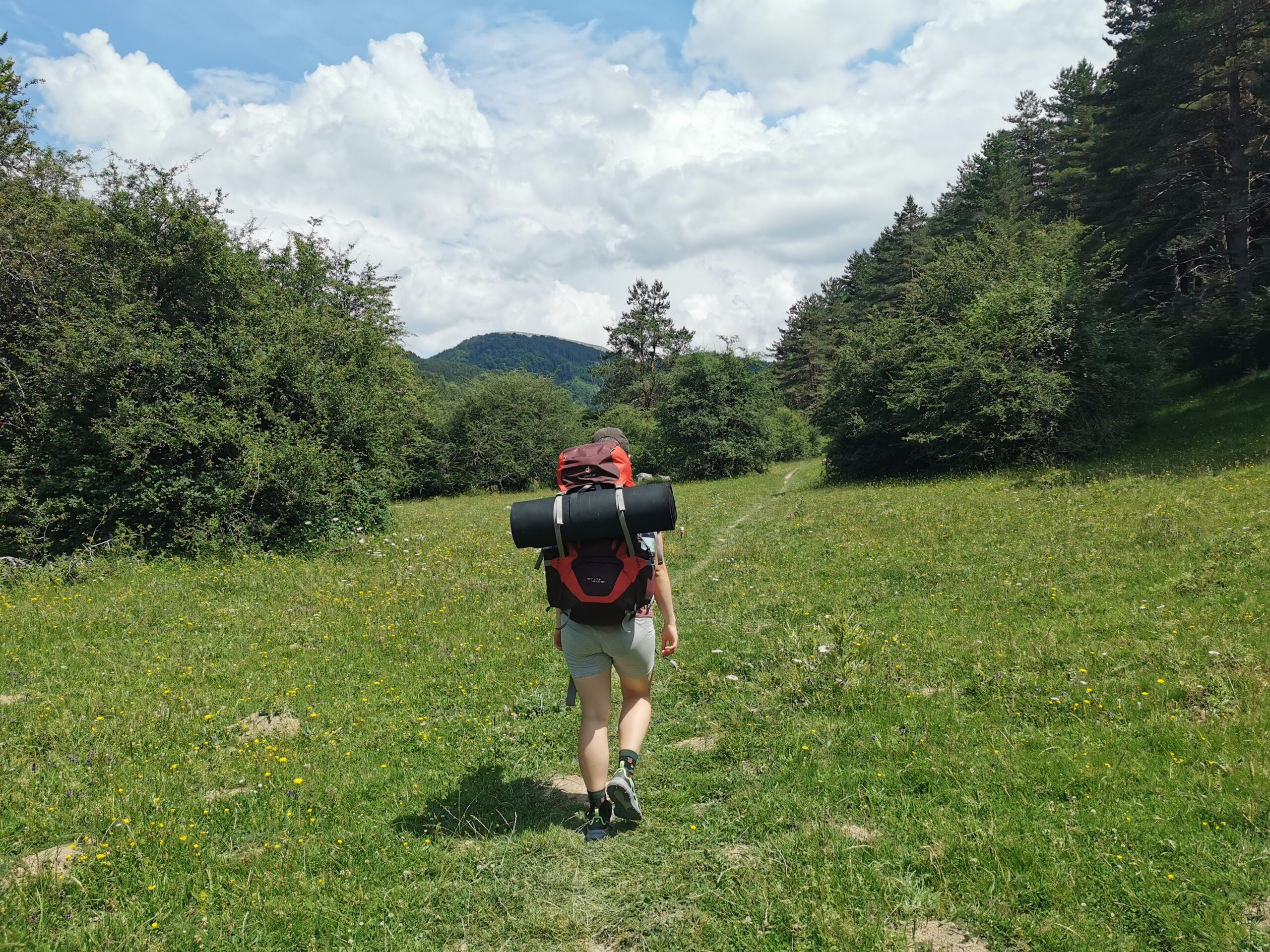 Wir lassen die Feriencamps hinter uns und wandern über schöne Wiesen.