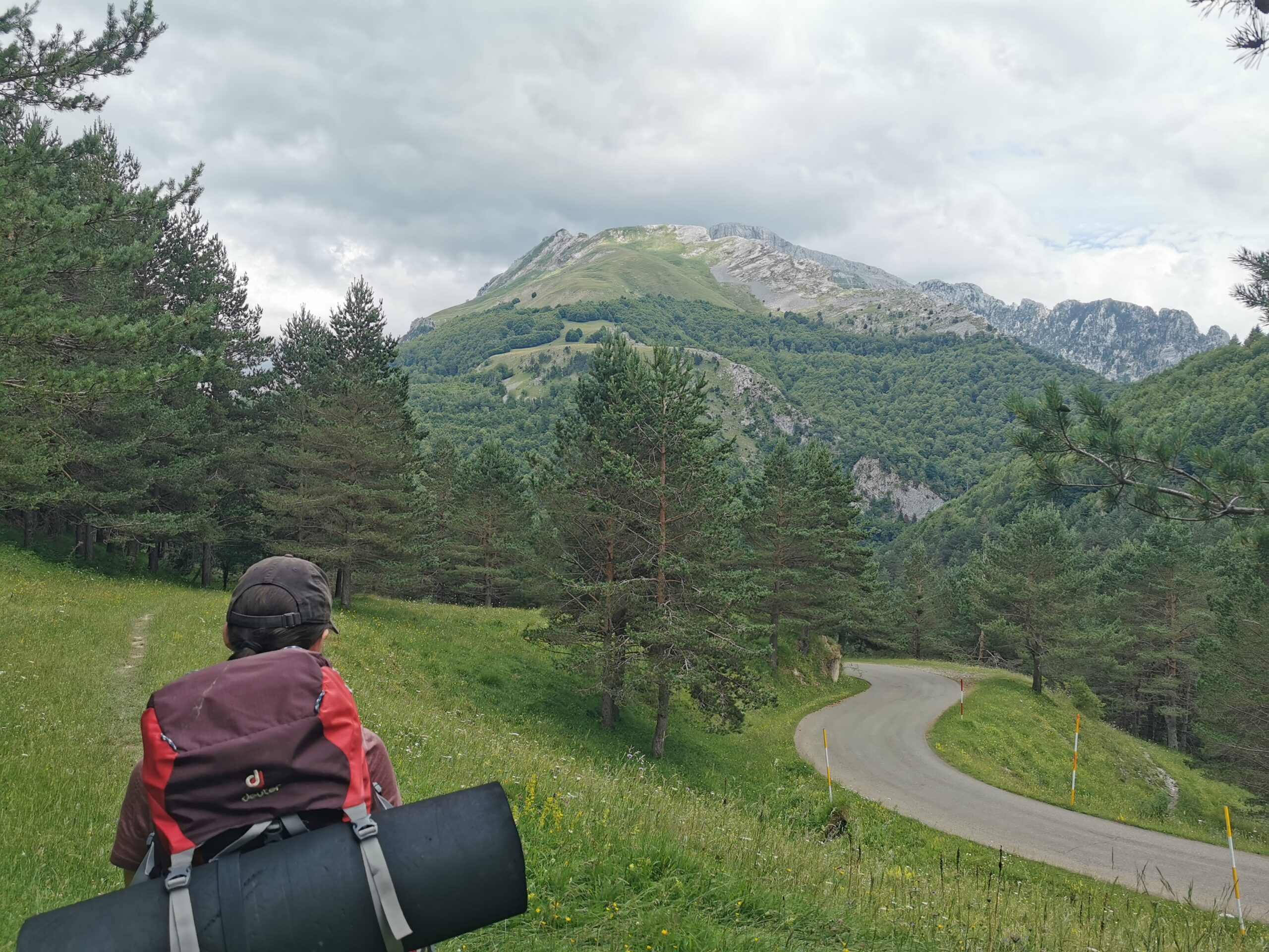 Wir sehen die ersten felsigen Berggipfel.