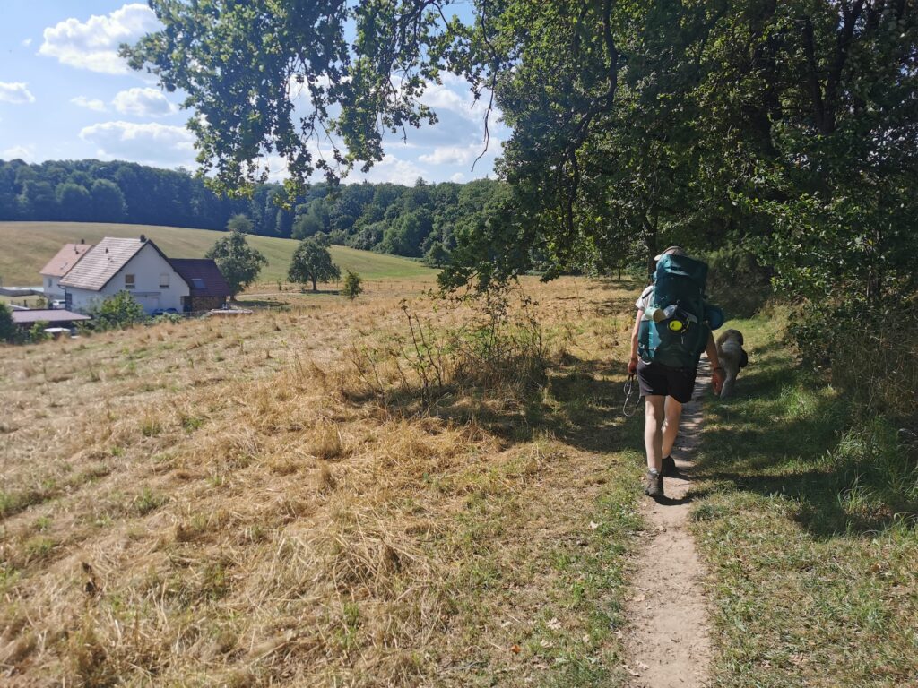 Wandern am Waldrand