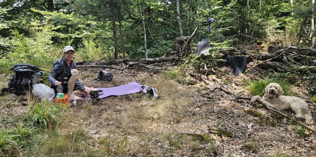 Mittagspause im Wald