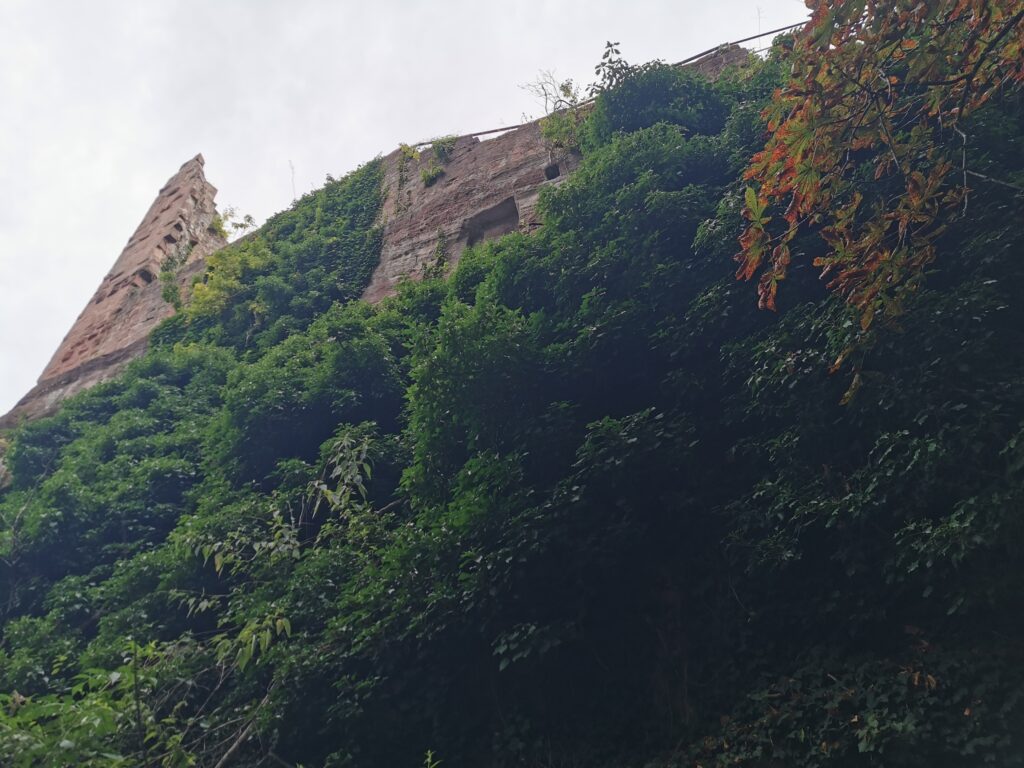 Château du Grand Arnsbourg